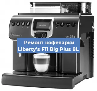 Чистка кофемашины Liberty's F11 Big Plus 8L от накипи в Волгограде